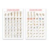 Acheter pack : 2 planches de pions Vikings - Agorajeux boutique wargame