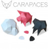 Carapaces by Doug - White