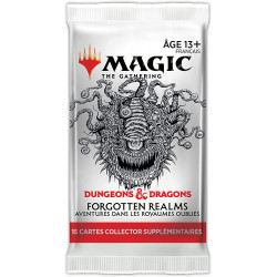 MTG : Forgotten Realms Booster Collector FR