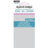 Protège-cartes Sleeve Kings Space Base 40x89 mm (110)