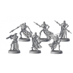 Star Wars Legion Magna Gardes IG-100