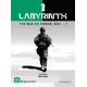 Labyrinth : The war on terror 2001 - ?