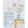 Race for Bastogne