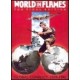 2008 World in Flames Annual
