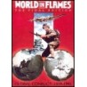 2008 World in Flames Annual