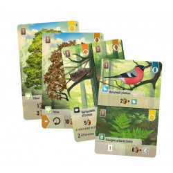 Forêt Mixte - Jeux de société - Agorajeux
