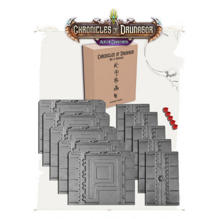 Chroniques de Drunagor - Hero Trayz bundle 5x - Agorajeux
