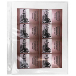 Cornered Wolf Card Set