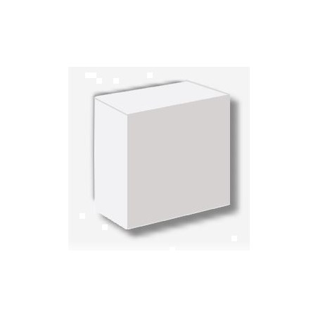 Sachet de 25 blocs de bois blancs 24mm - Agorajeux
