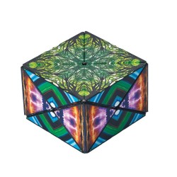 Casse-tête : Shashibo Elements - Agora Jeux
