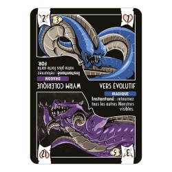 Hand of Destiny - Jeu de cartes en solitaire - Agorajeux