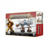 Age of Sigmar : Vindictors + Paint Set