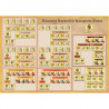 Torgau 1760 - Wargame Ad Hoc Editions - Agorajeux