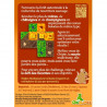 Hortis Automne - Origames - Agorajeux