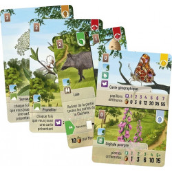 Forêt Mixte : Lisière de forêt - Extension - Agorajeux