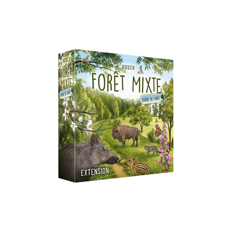 Forêt Mixte : Lisière de forêt