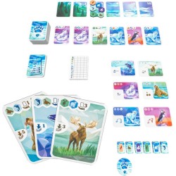 Arctic - Jeu de société - Agorajeux