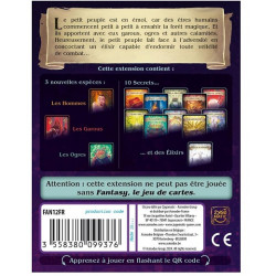 acheter Fantasy 2 - asmodee - achat jeu de cartes
