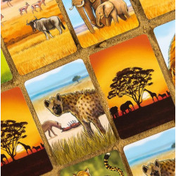 Ecosystème : Savane - Agorajeux