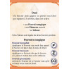 Wizards Cup - La Boîte de Jeu - Agorajeux
