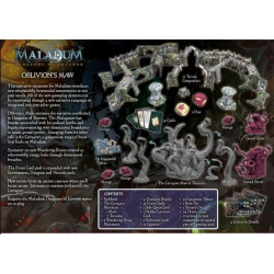 Maladum Dungeons of Enveron - Oblivion's Maw - Agorajeux
