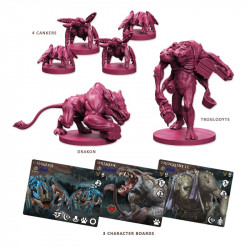 Maladum Dungeons of Enveron - Boite de base - Agorajeux