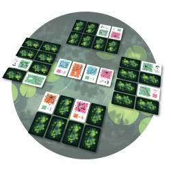 Acheter Symbiose - Jeu de société - Subverti - Agorajeux