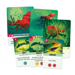 Kelp - Jeu de société - Agorajeux
