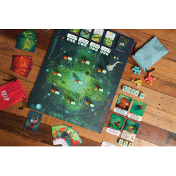 Kelp - Jeu de société - Agorajeux