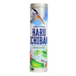 Haru Ichiban