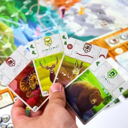 Exemple de cartes de jeu.