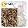 Citadel : Crânes / Skulls | Games Workshop | Agorajeux