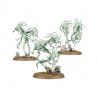 Nighthaunt: Spirit Hosts  | Warhammer AOS | Agorajeux