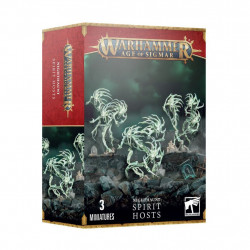 Nighthaunt: Spirit Hosts
