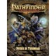 Pathfinder : Dossier de Personnage nouvelle edition