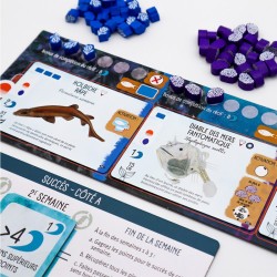 Finspan - Requins & Récifs | Matagot | Agorajeux
