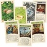 Catan : Villes et Chevaliers - Kosmos - Agorajeux