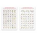 Acheter pack 3 planches de pions pour Diex Aïe - Agorajeux boutique wargame 