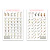 Acheter pack 3 planches de pions pour Diex Aïe - Agorajeux boutique wargame 