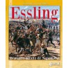 Essling - première défaite de Napoléon ?
