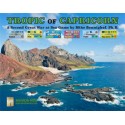 Second Great War at Sea: Tropic of Capricorn