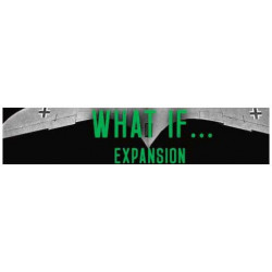 Stuka Leader What if Expansion