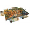 Buy Andor - Agorajeux online game store