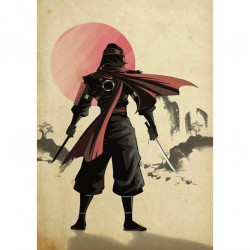 Buy Ronin : La trilogie - jeu de rôle en solo - Agorajeux