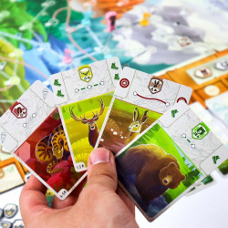Buy Peak Team | Agorajeux gamestore