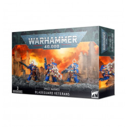 Space Marines - Bladeguard...