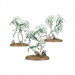 Buy Nighthaunt: Spirit Hosts     | Warhammer AOS | Agorajeux store