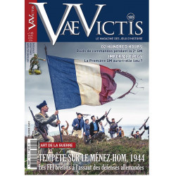 Vae Victis n°185 Game edition