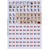 Buy Vae Victis n°187 Game edition - Agorajeux Gamestore