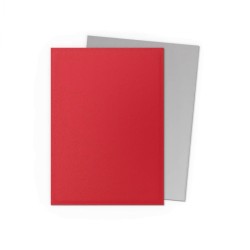 Buy 100 Dragon Shield Dual Matte - Crimson & Silver | Agorajeux Game Store